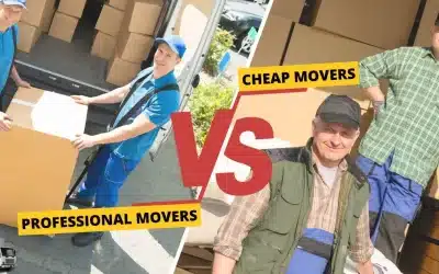 Cheap vs. Professional Removalists in Melbourne: Costs, Reviews & Top Picks (2025 Guide)